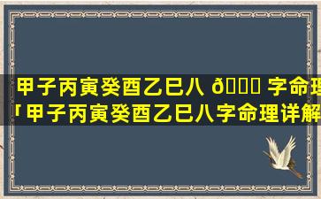 甲子丙寅癸酉乙巳八 🐈 字命理「甲子丙寅癸酉乙巳八字命理详解」